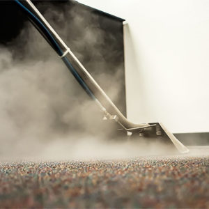 Clean Pro Professional Steam Cleaning Services